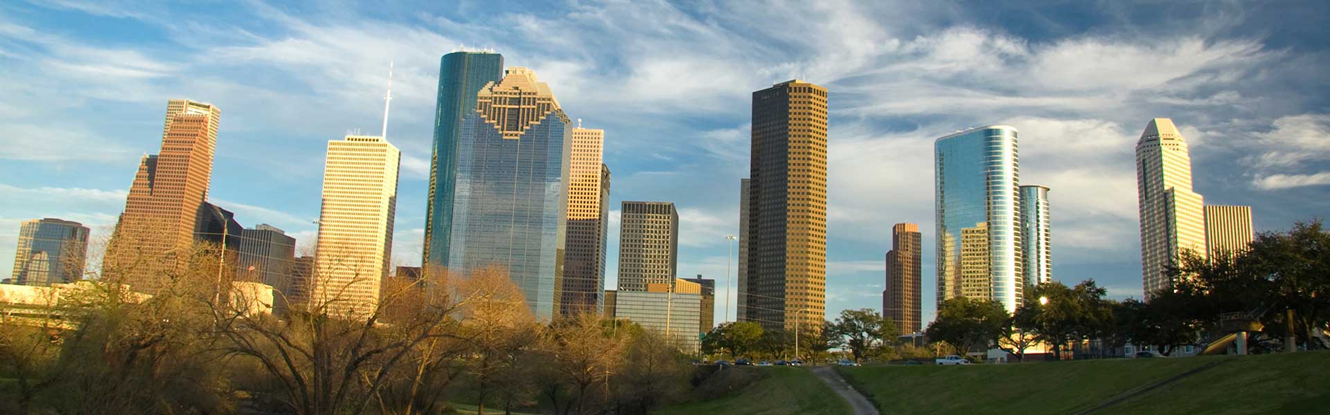 Houston View